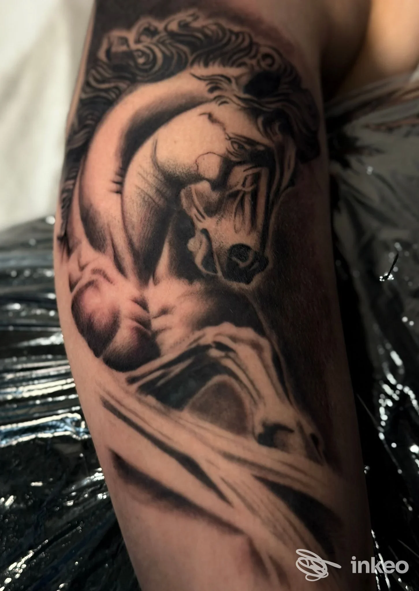 Tattoo su avambraccio raffigurante un cavallo in stile realistico, in bianco e nero, con contorni nitidi e sfumature.