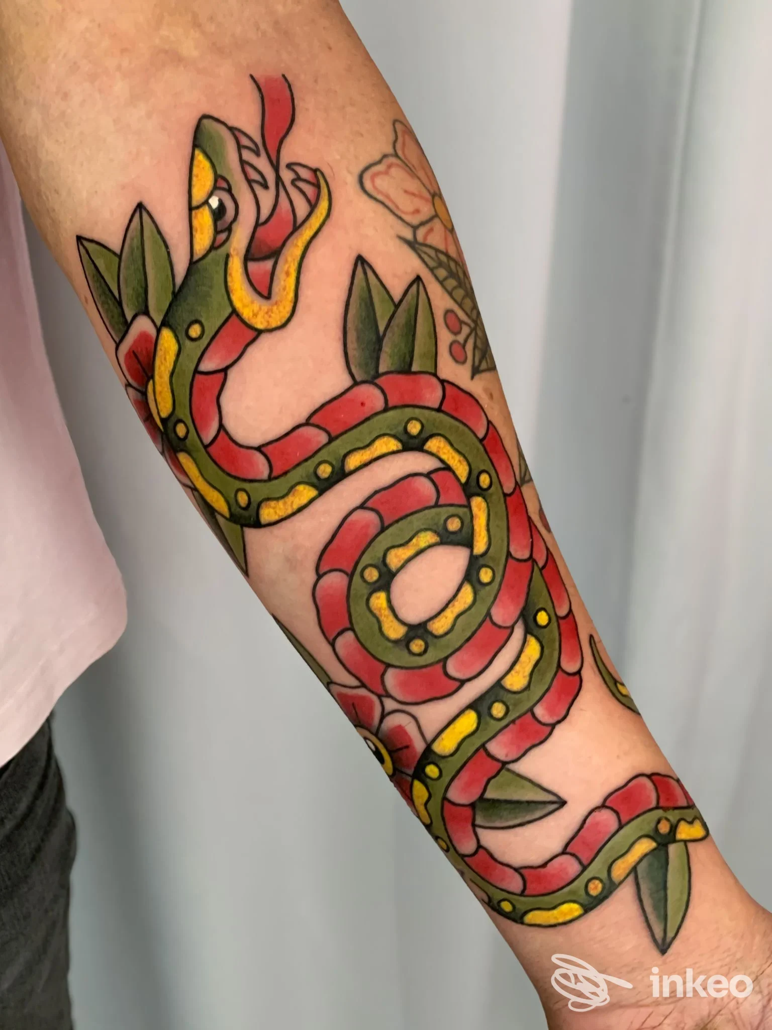 Tatuaggio a serpente colorato sull'avambraccio, fotografia del lavoro di Skin Beauty Estetica e Tattoo by abbronzatissimi a Senigallia.