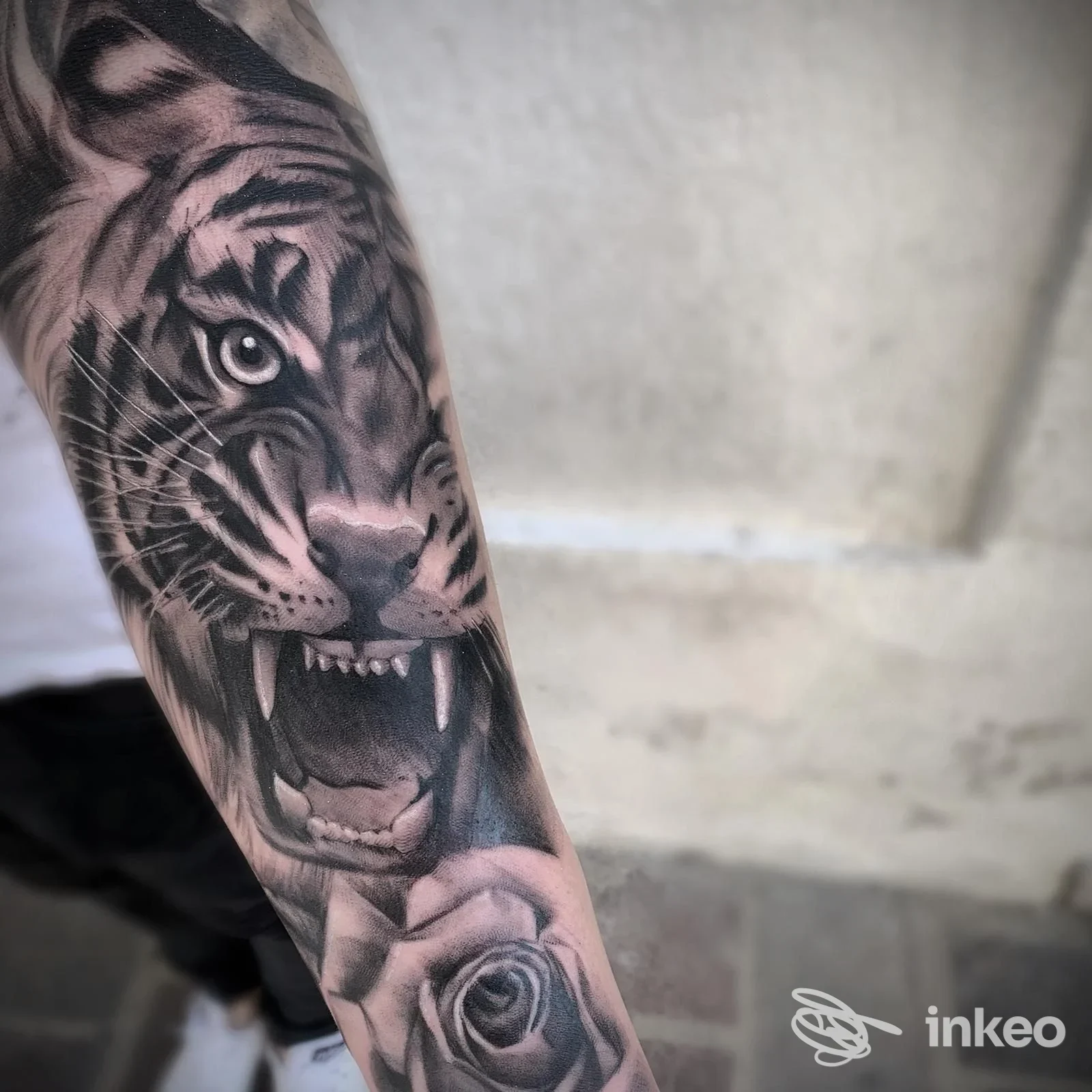 Tatuaggio realistico in bianco e nero a forma di testa di tigre e rosa sull'avambraccio, Loyalty Ink Studio, Termoli.