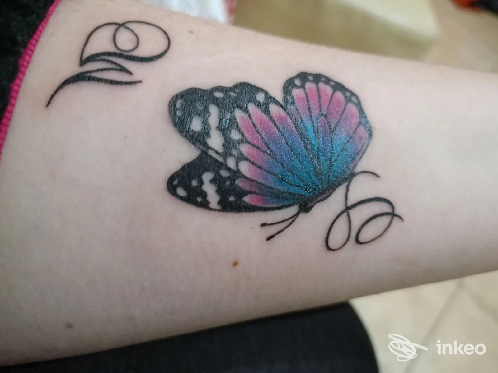Tatuaggio di farfalla colorata sull'avambraccio, ali nere con sfumature rosa e azzurro. Loyalty Ink Studio, Termoli.