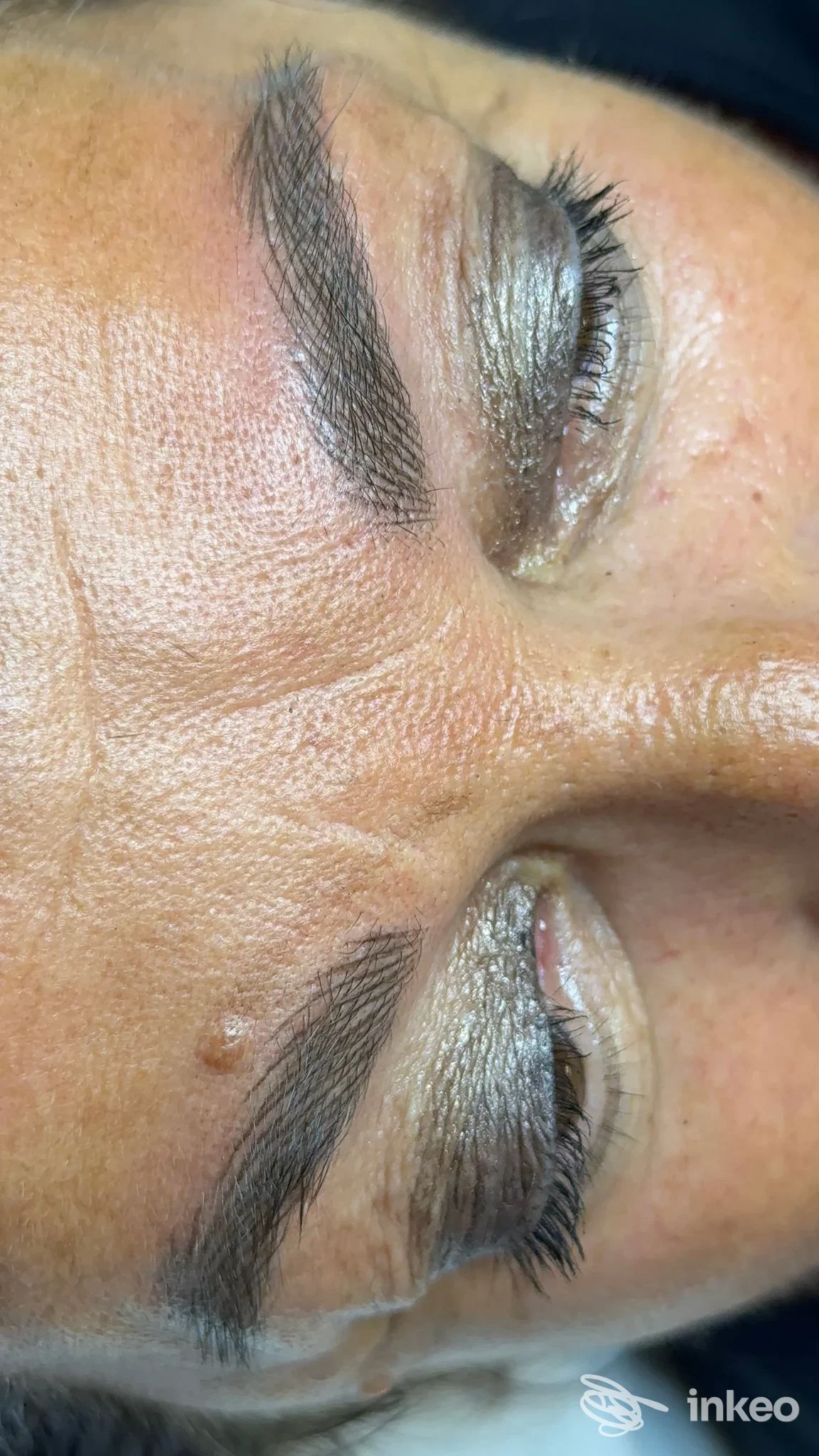 Esempio di sopracciglia pigmentate e laminazione ciglia eseguite da Trucco permanente e laminazione ciglia e sopracciglia Savona, Savona.
