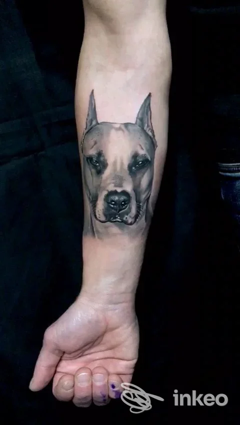 Tatuaggio realistico di una testa di cane sull'avambraccio, foto inviata da Richy Creative a Torino.