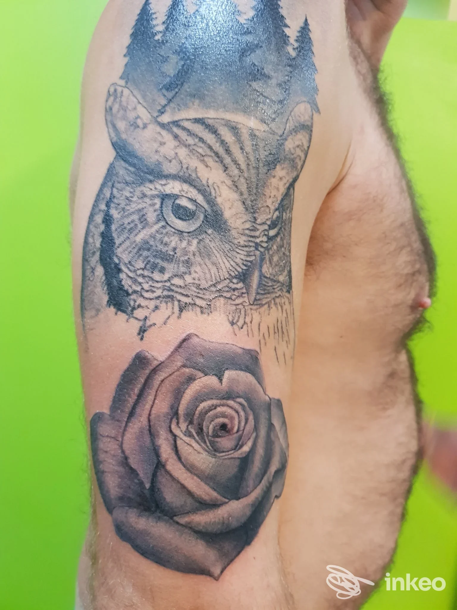 Tatuaggi su braccio con gufo e rosa realistica, foto per Tatuaggi - Piercing - Abbigliamento e Accessori Bikers a Manfredonia.