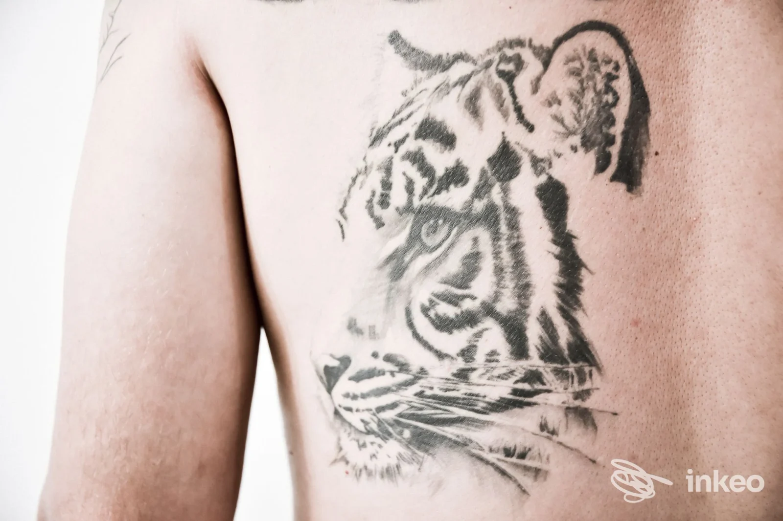Tatuaggio a inchiostro nero di una testa di tigre sul lato sinistro del torace di un cliente. Fabulous Art. TATTOO PIERCING & NAILS di LUANA PURITA', Grammichele.