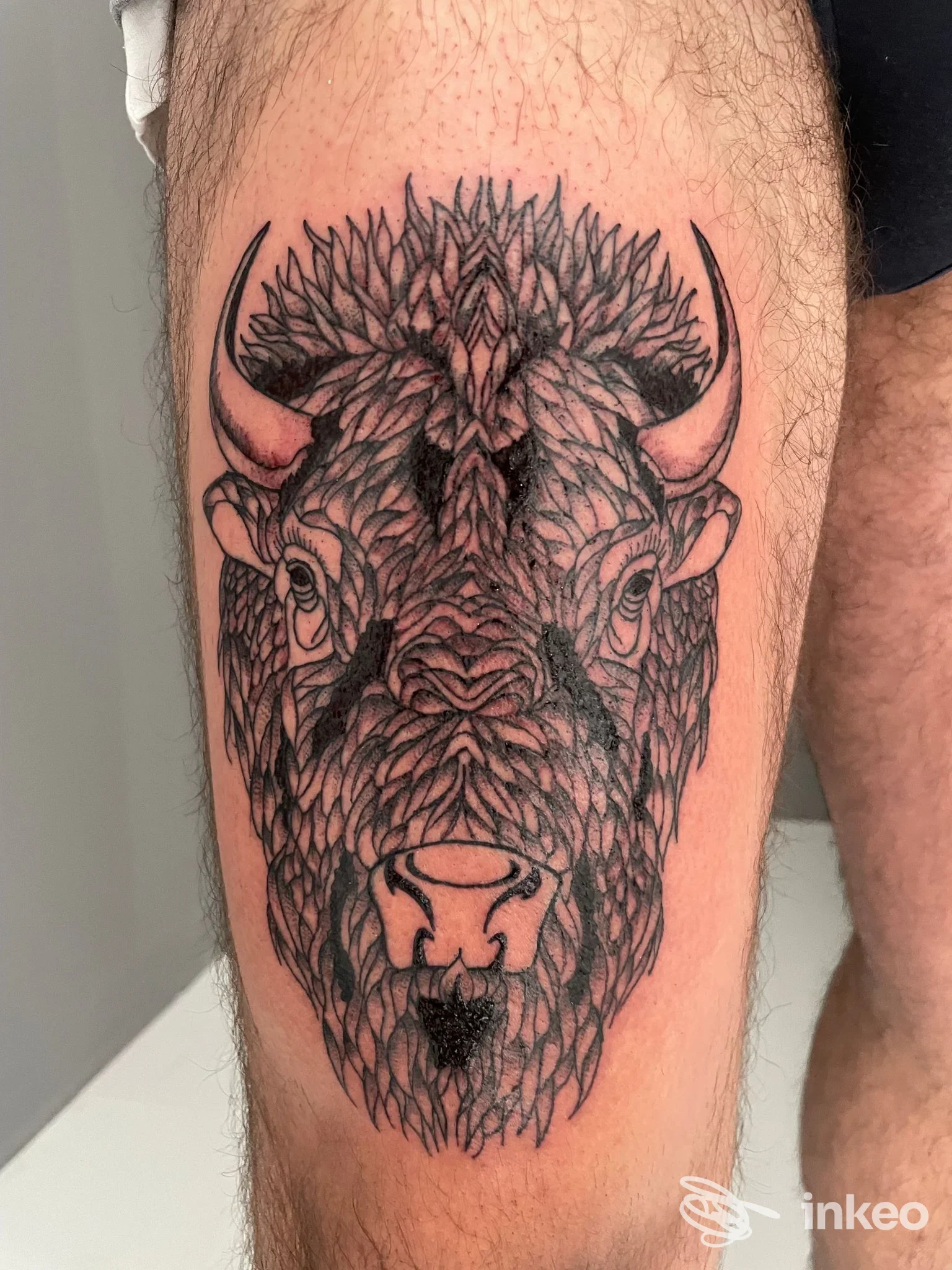 Tatuaggio testa di bisonte in nero su gamba maschile, scatto vicino realizzato da _n1kmark_TattooStudio a Calangianus.