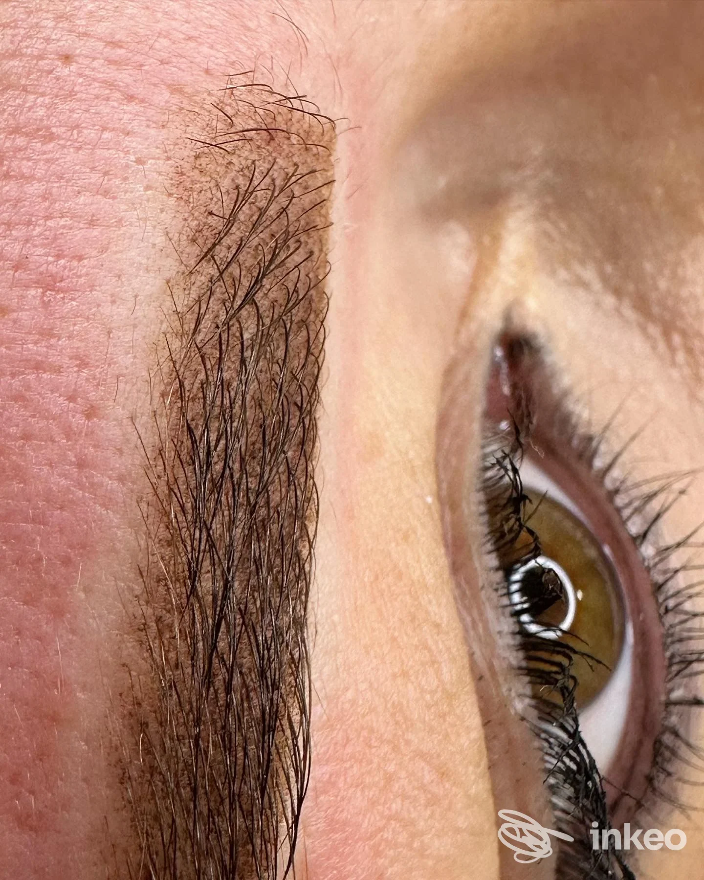 Primo piano di sopracciglio con dermopigmentazione, immagine per GF Beauty Luxury – Oristano.