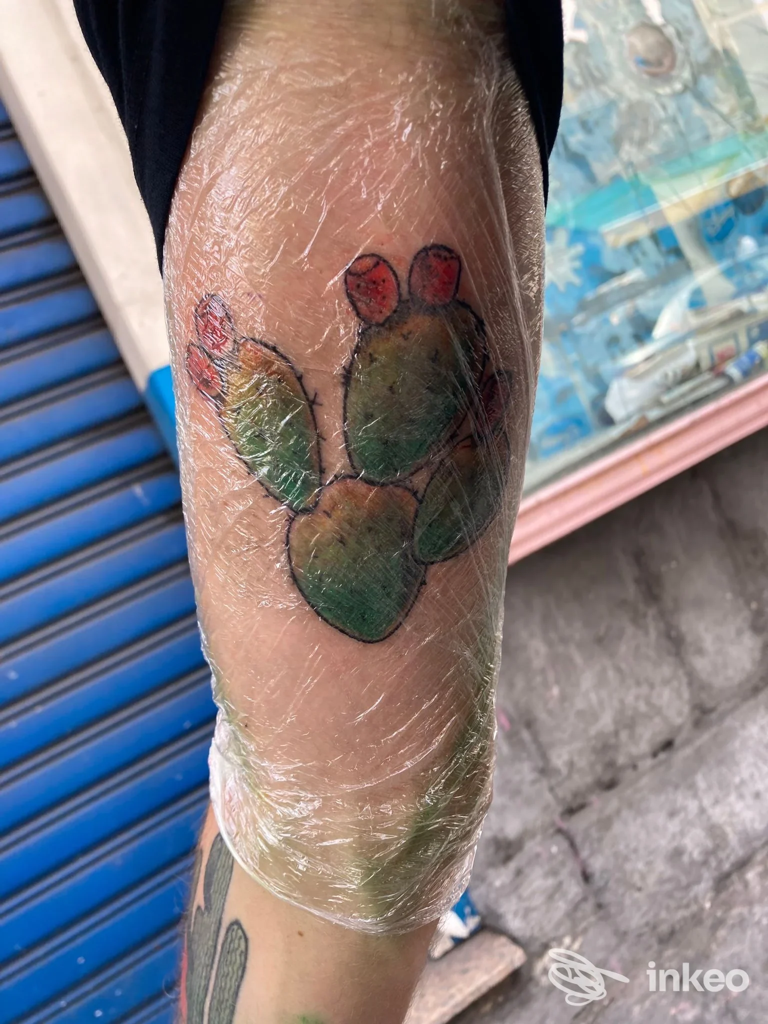 Tatuaggio recente raffigurante pale di fico d'India sul braccio, coperto da pellicola; lavoro di Tattoo Old School Catania, Catania.