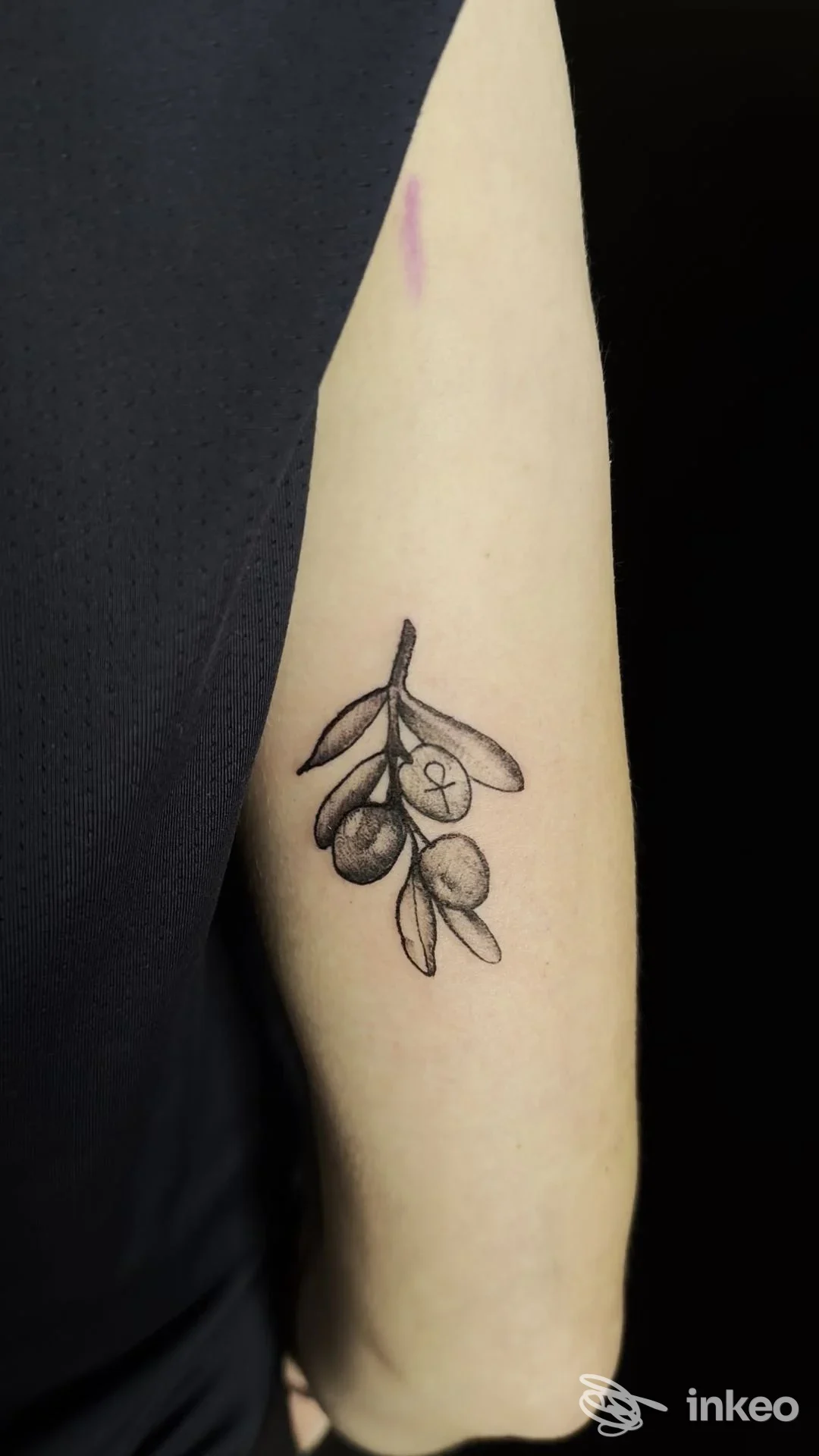 Piccolo tatuaggio a ramo d'olivo sulla parte interna del braccio, linea fine e puntinato, realizzato da Golden boys tattoo studio a Palermo.