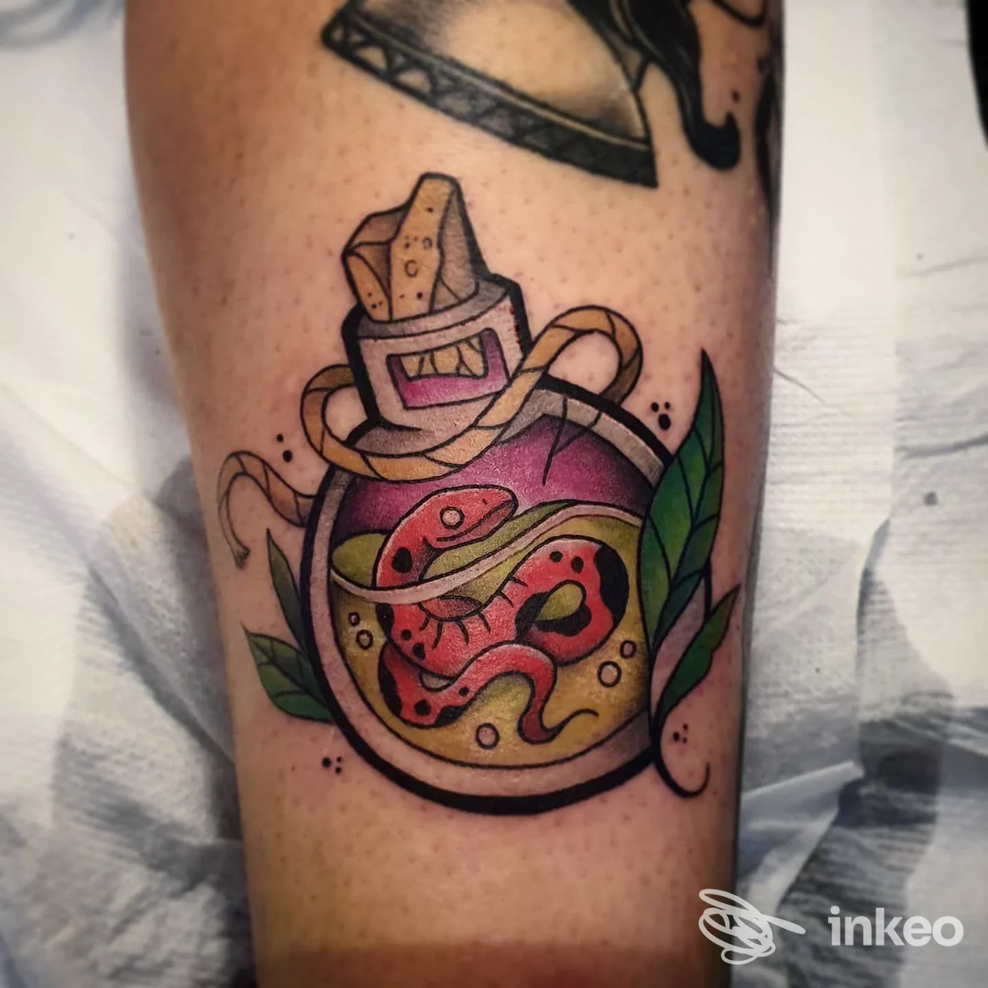 Tatuaggio colorato su avambraccio: ampolla con serpente e foglie, lavoro realizzato da Mirco Ragno Tattoo a Siena, primo piano nitido.