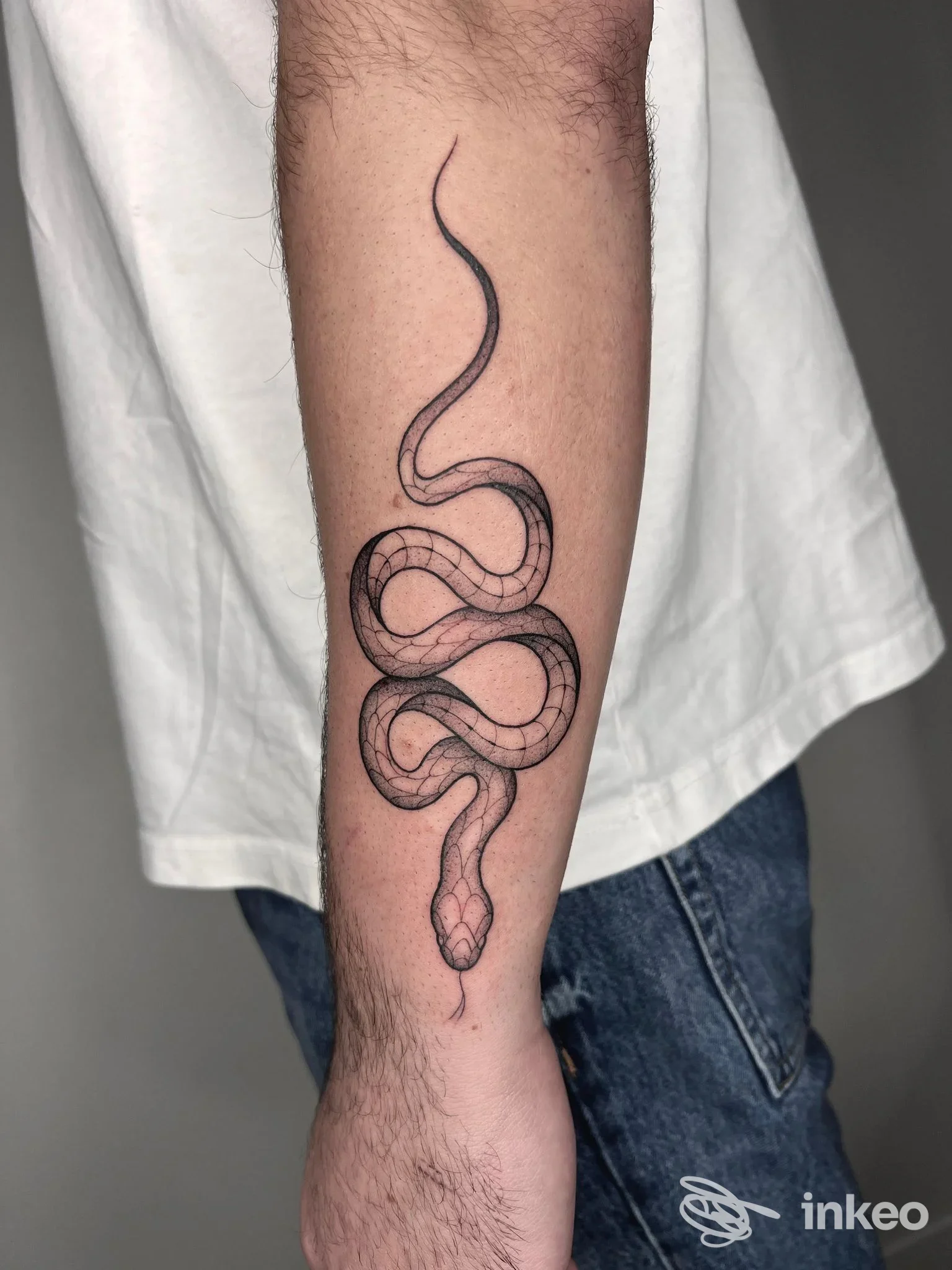 Tattoo snake su avambraccio in tinta nera, contorni netti e linee fluide su pelle luminosa, con manica bianca sullo sfondo.