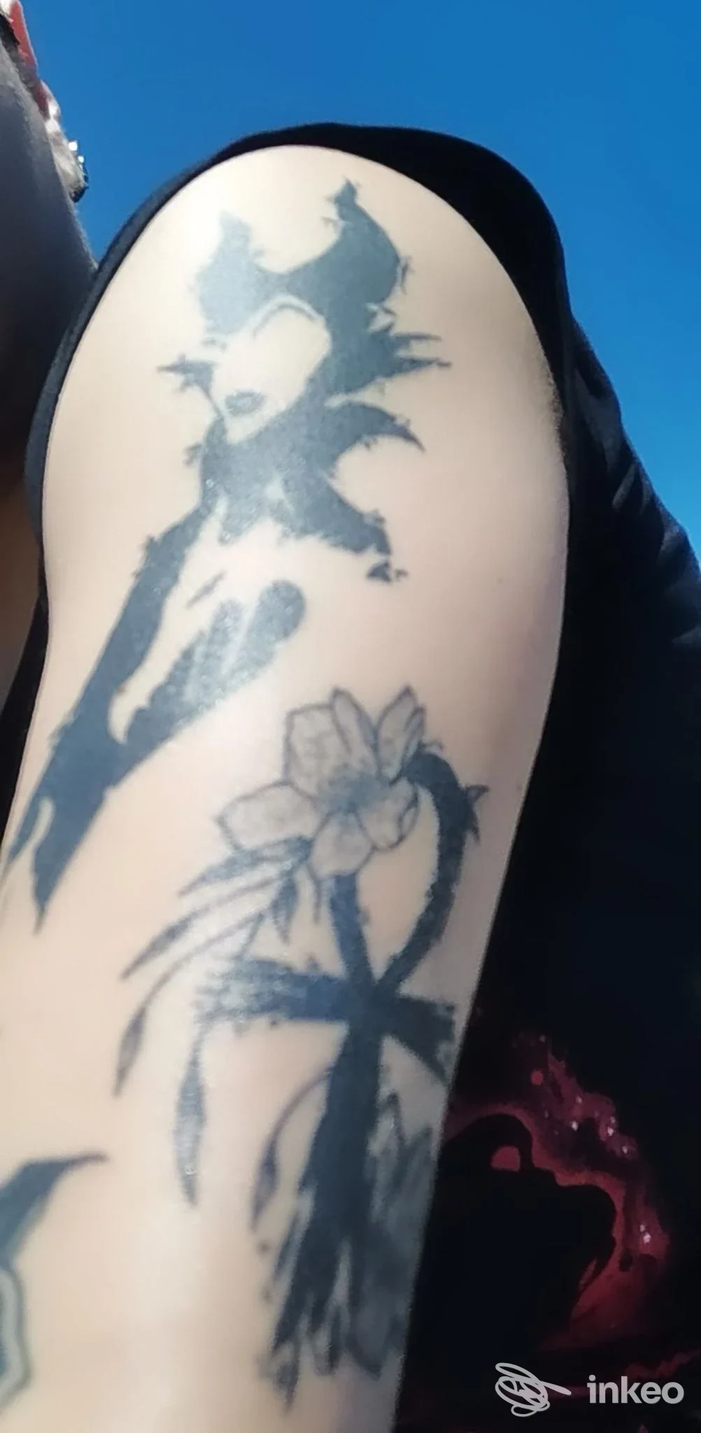 Braccio con tatuaggi neri stilizzati visibili sulla pelle, immagine fornita da Tattooine Studio, Orbetello.