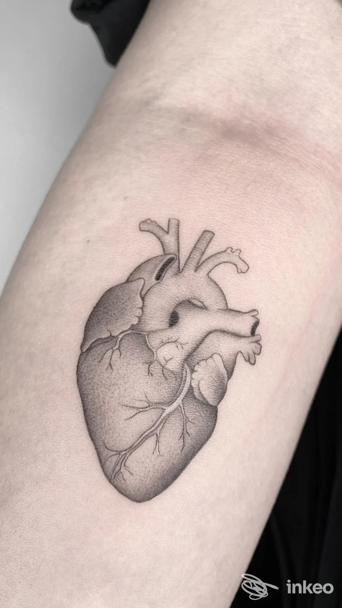 Tattoo realistico di un cuore anatomico inciso sulla pelle del braccio, eseguito da uno studio. nessun volto visibile nell’immagine.