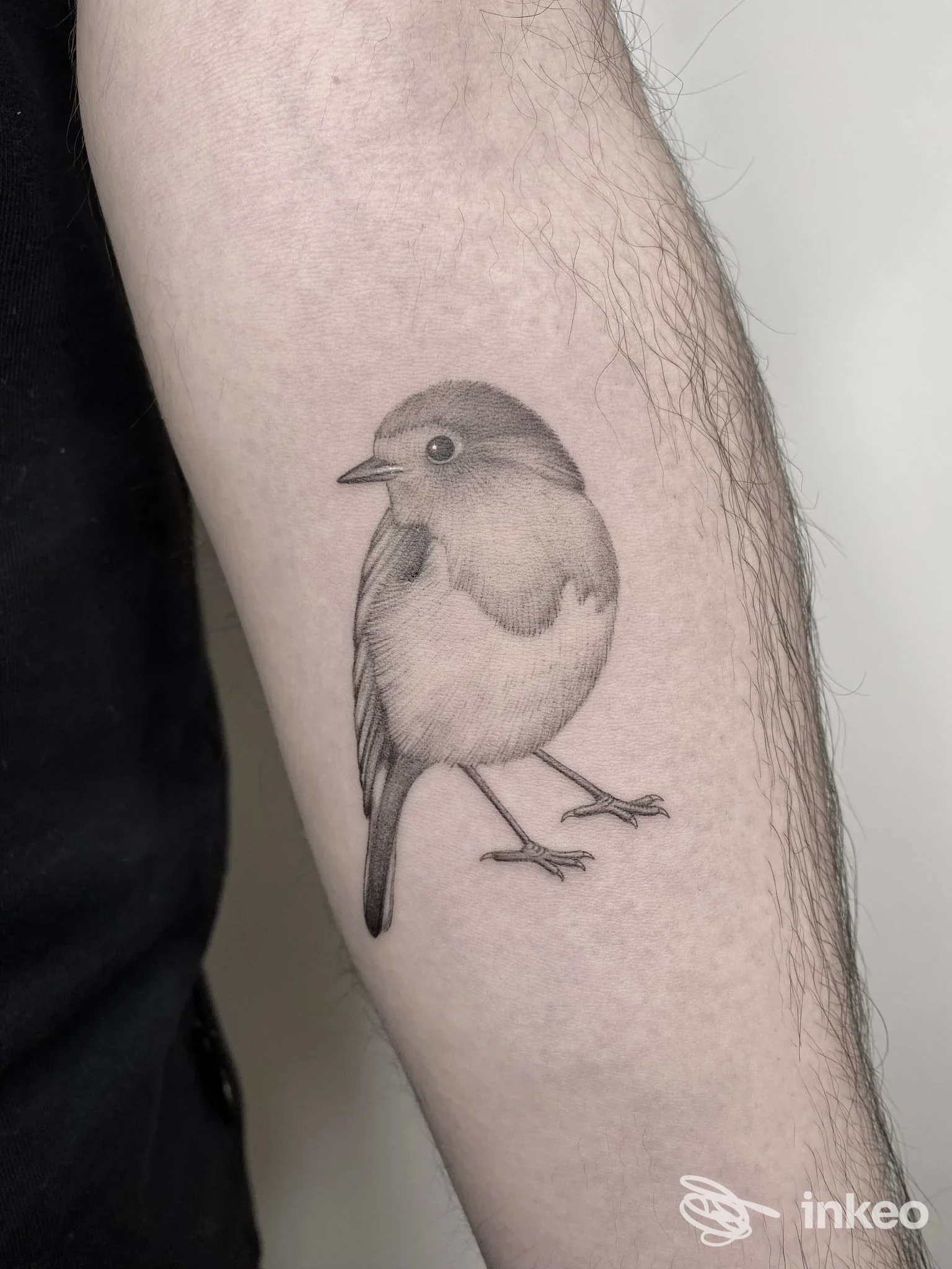 tatuaggio su avambraccio di un piccolo uccellino grigio-nero, disegno ben definito e centrato sull’avambraccio, senza testi né elementi esterni.