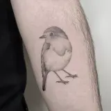Profilo Instagram di FineLine Tattoo