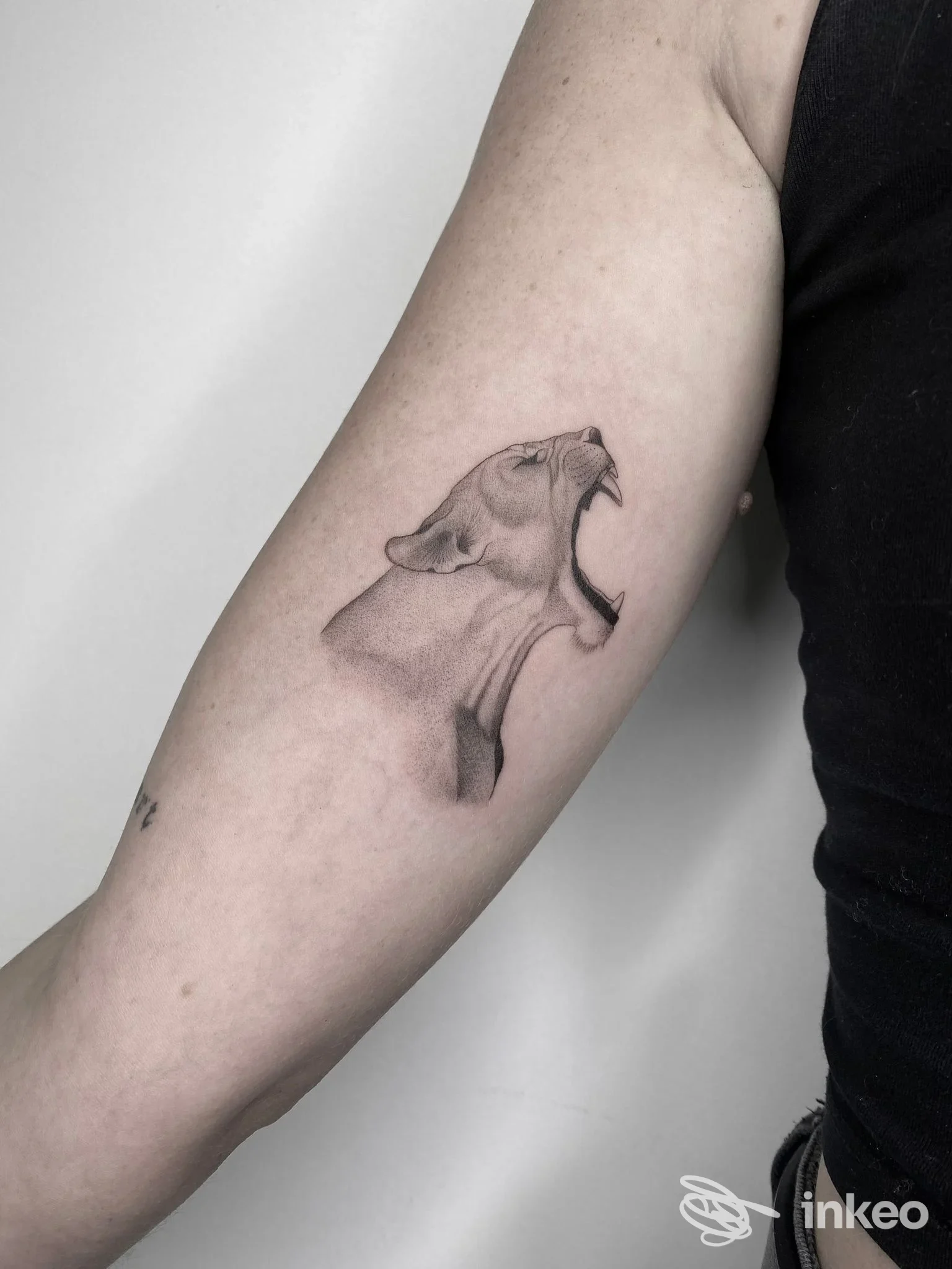 Tatuaggio realistico raffigurante la testa di un cane su avambraccio, tonalità grigie, senza testo o elementi di marca visibili, scatto singolo. FineLine Tattoo, Italia.
