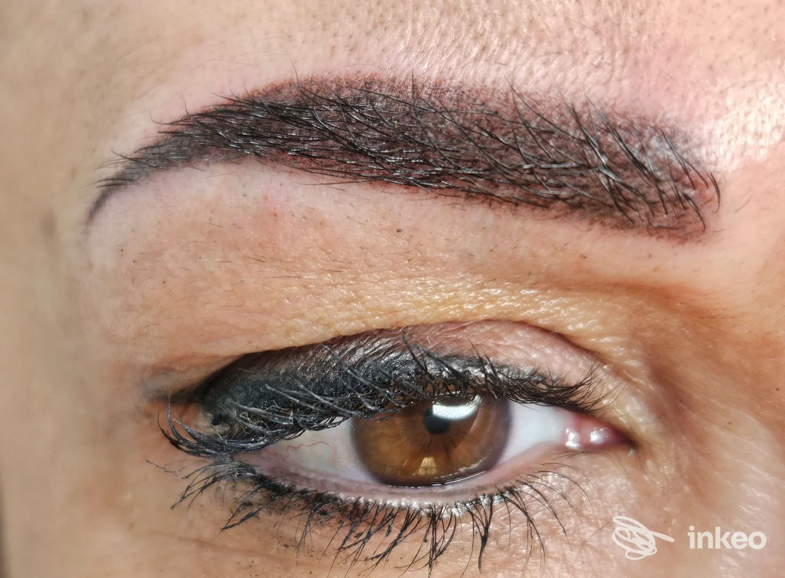 Primo piano di sopracciglio e eyeliner dermatintura, Trucco permanente Livorno Anna Voloshenko, Livorno.
