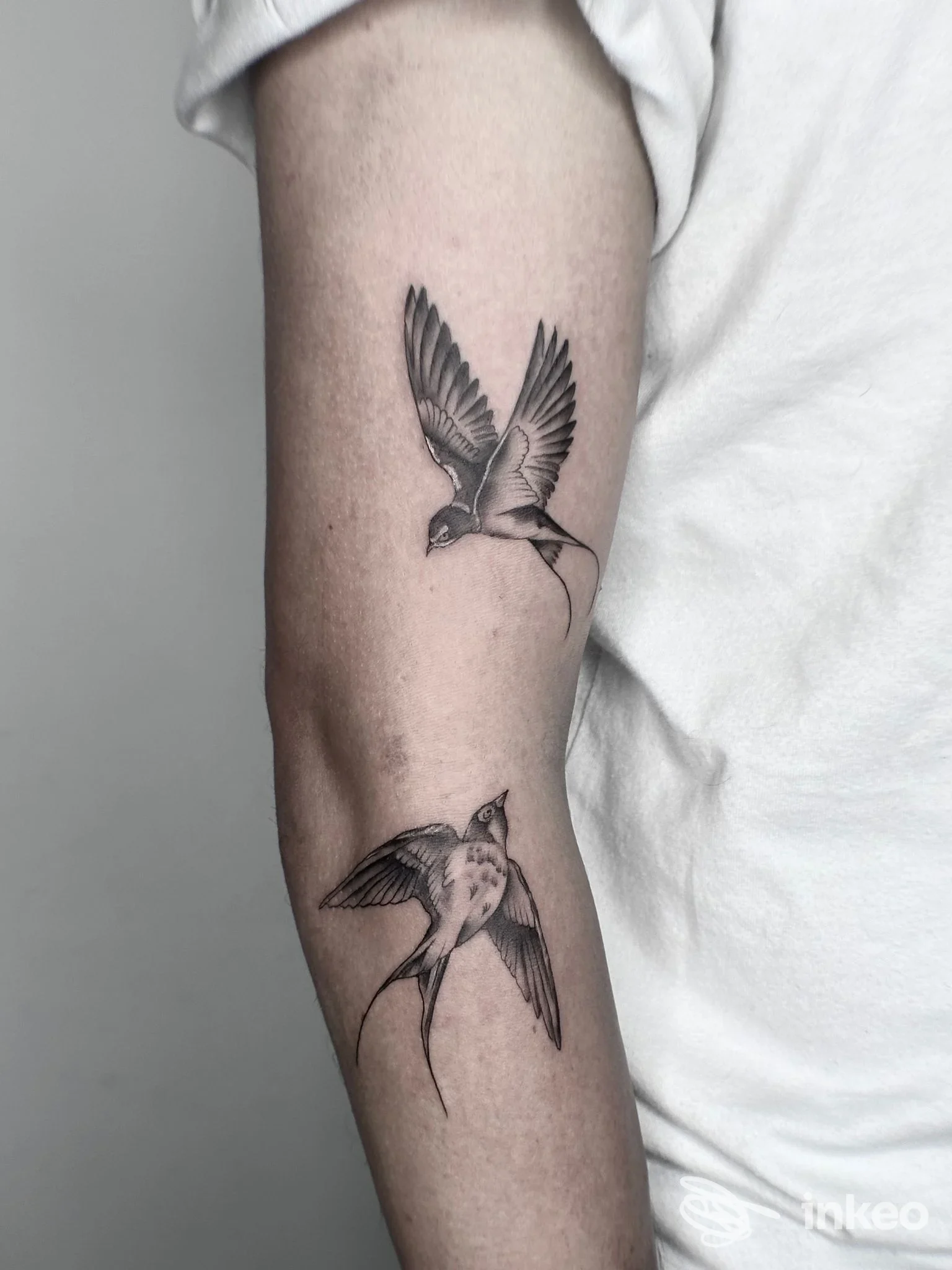 Due rondini tatuate in bianco e nero sull'avambraccio interno, lavoro fotografato per Think Giulia Ghini a Poggibonsi.
