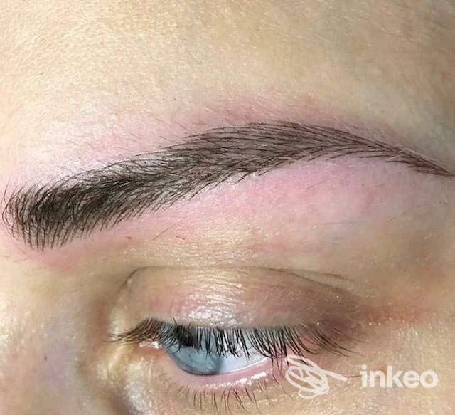 Sopracciglio micropigmentato in primo piano, lavoro di trucco permanente realizzato presso Trucco Permanente & Tatto & Estetica avanzata, Montegrotto Terme.