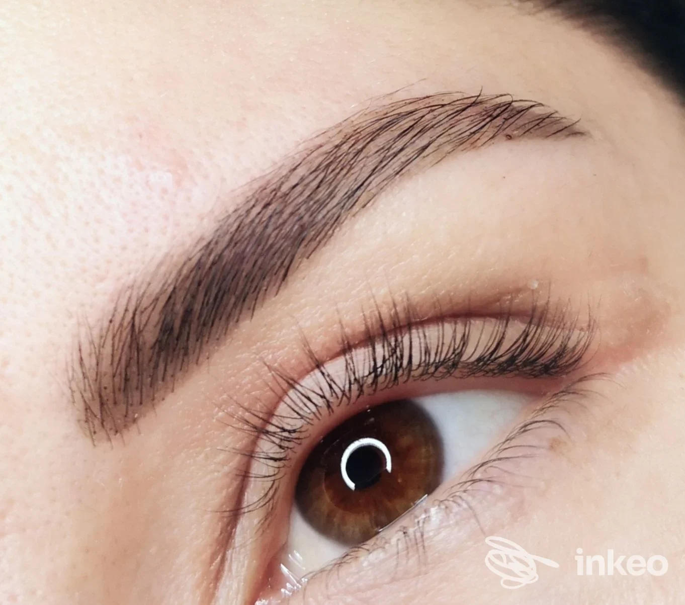 Primo piano di sopracciglio microblading e occhio, immagine dello studio SIGLINDE THANEI ich seh' dich a Merano.