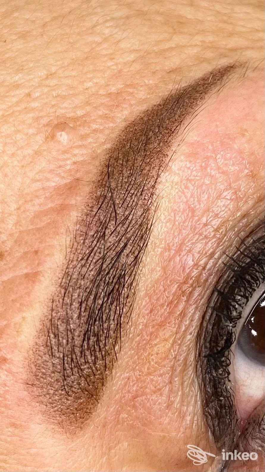 Primo piano di trucco permanente sopracciglio, LE MAQUILLAGE di SILVIA FILIPPINI, Verona.