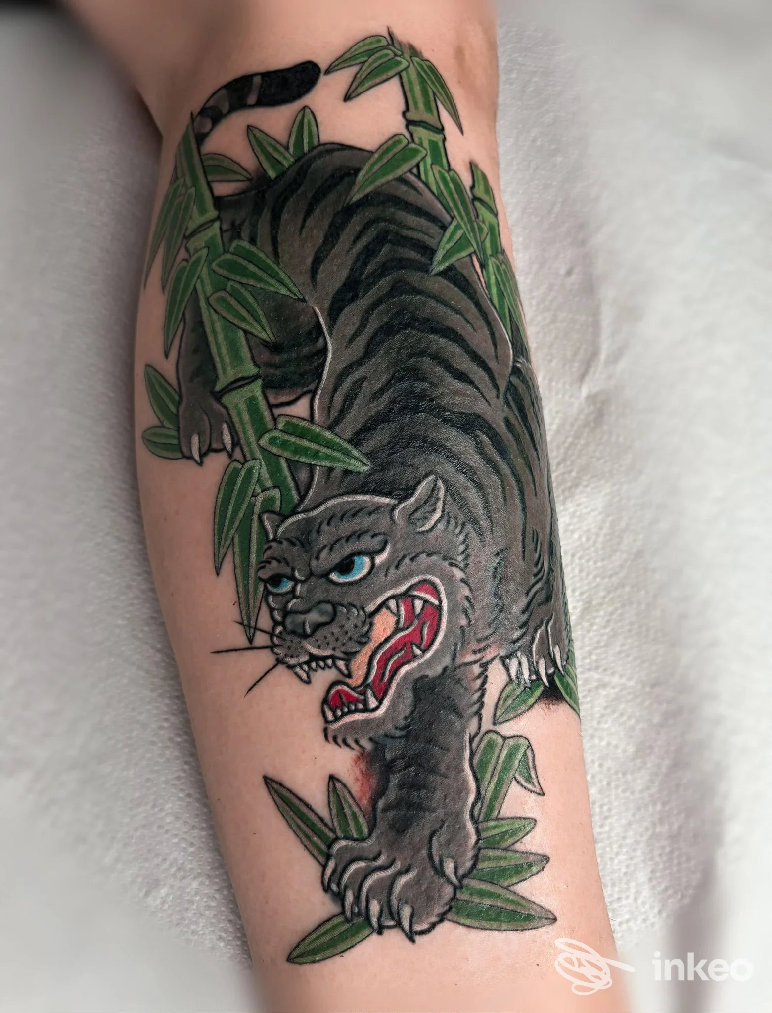 Tatuaggio di una pantera nera/grigia su avambraccio, The White Rabbit Tattoo Studio, Villafranca di Verona.