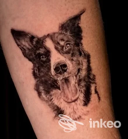 Tatuaggio realistico di un cane su pelle, tonalità in bianco e nero, visibile sull’avambraccio/parte inferiore della gamba, con contorni nitidi e dettaglio della lingua.