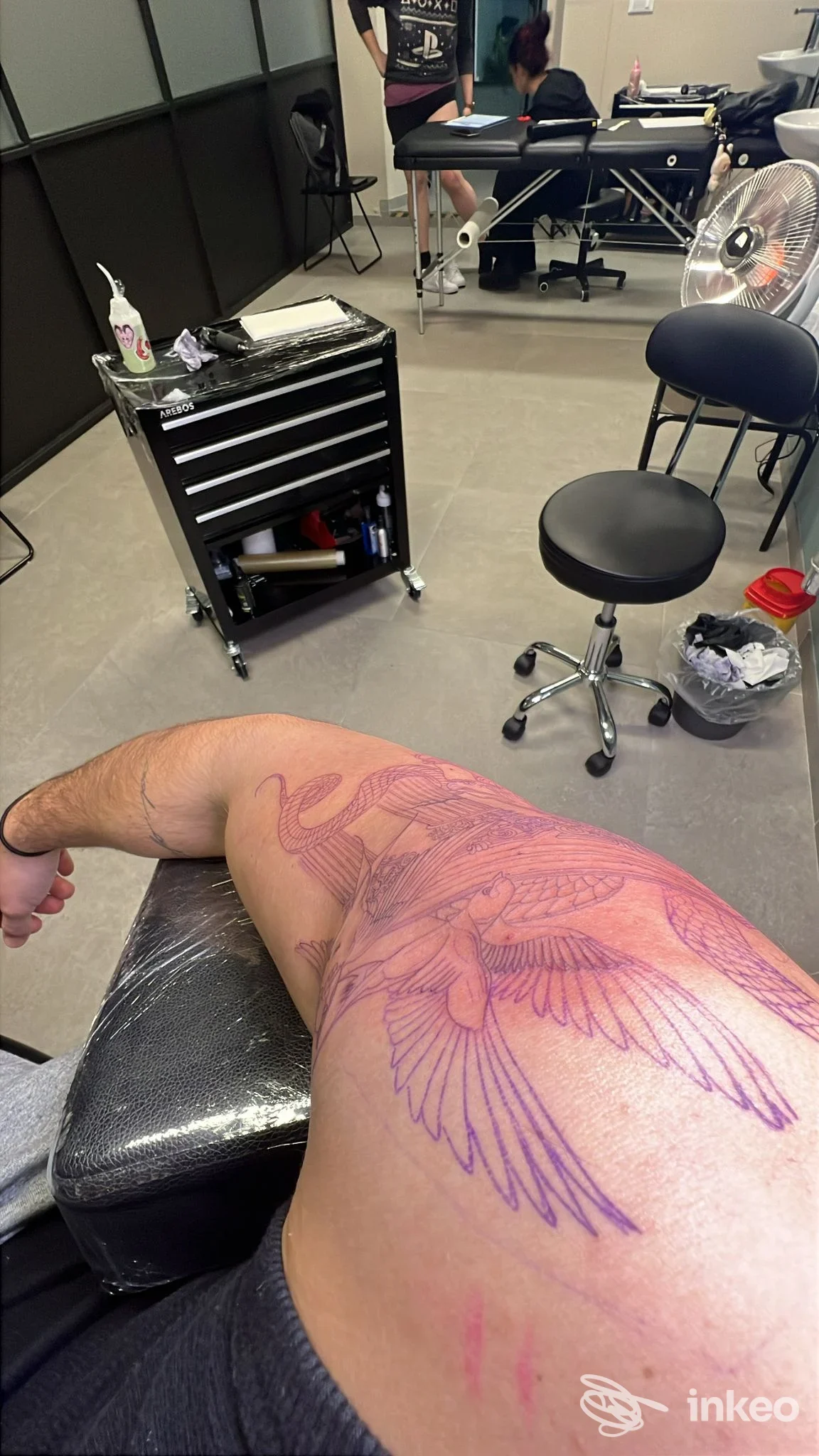 Primo piano di un tatuaggio in corso su fianco/torace con stencil viola raffigurante un uccello; interno di Nebula Tattoo Studio a Borgo A Buggiano.