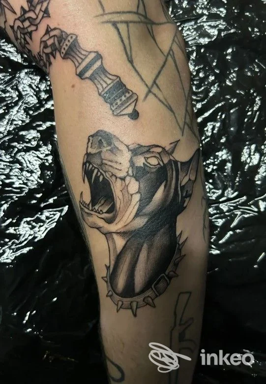 Tatuaggio di un cane che ruggisce sul braccio, in nero e sfumature grigie. Incubo Tattoo Studio, Molinetto.