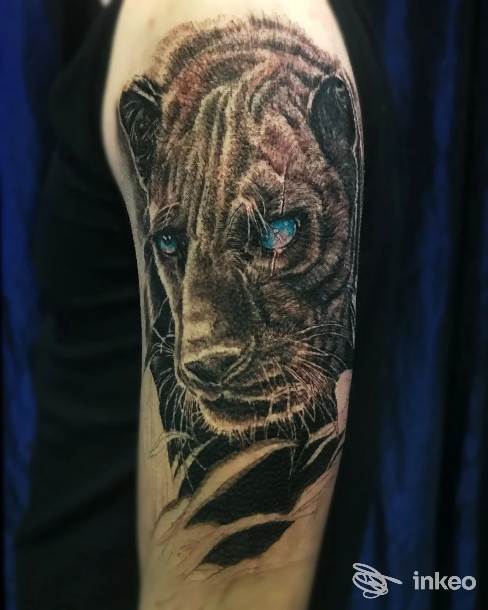 Tatuaggio realistico di un grande felino sull'avambraccio, lavoro eseguito da Cat Ink Tattoo Art Studio a Latina Scalo.