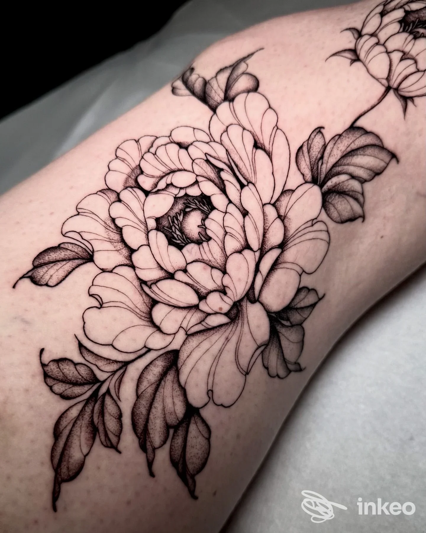 Tattoo floreale in nero su pelle, realizzato da Mente Clara Tattoo Studio a Ottava Presa, dettaglio di peonia su braccio.