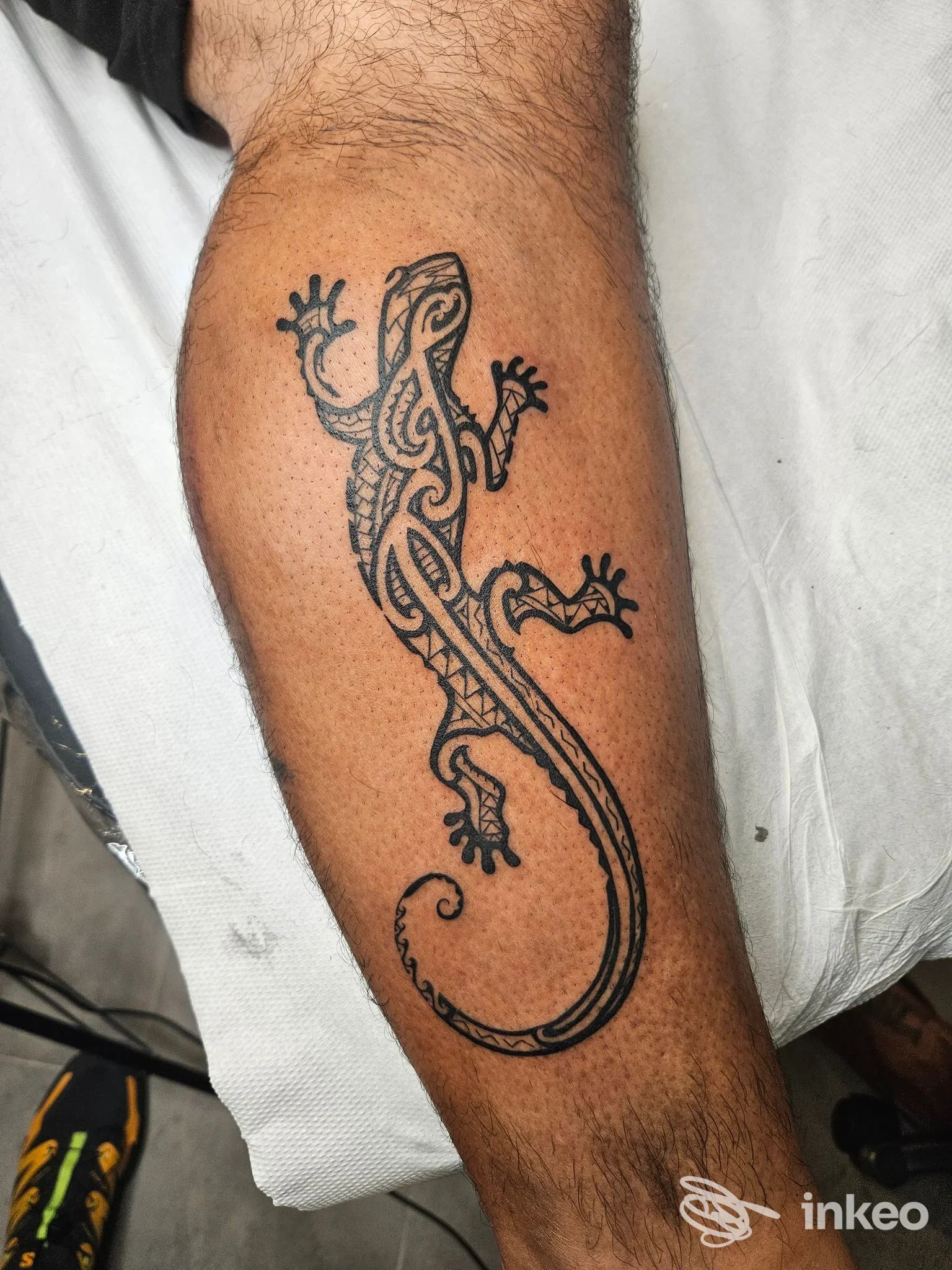 Tatuaggio a forma di lucertola in stile tribale sull'avambraccio, foto inviata da Pequod Tattoo Studio, Sant'Antioco.