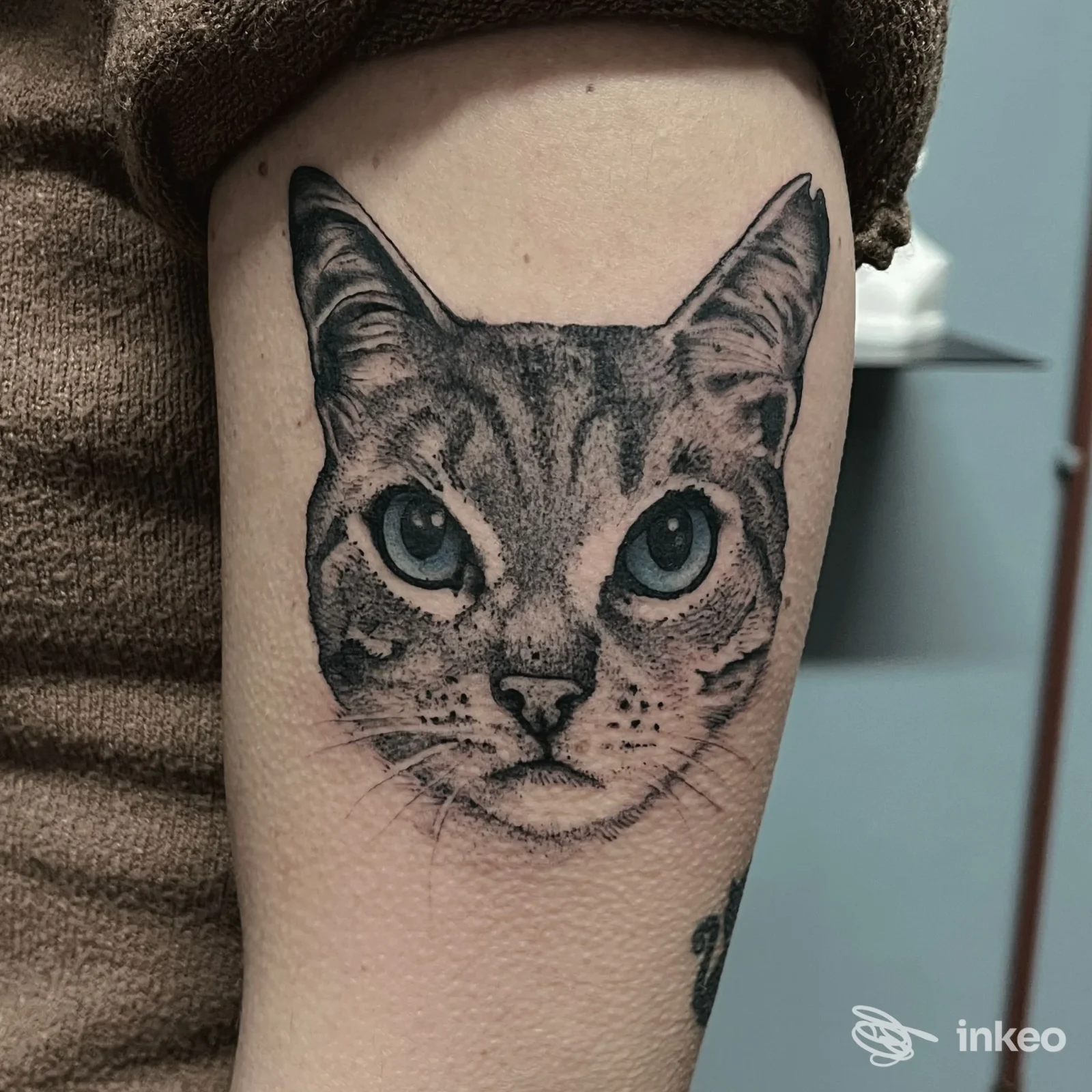 Tatuaggio a Verona presso Buio Omega: testa di gatto realistica tatuata sull'avambraccio.
