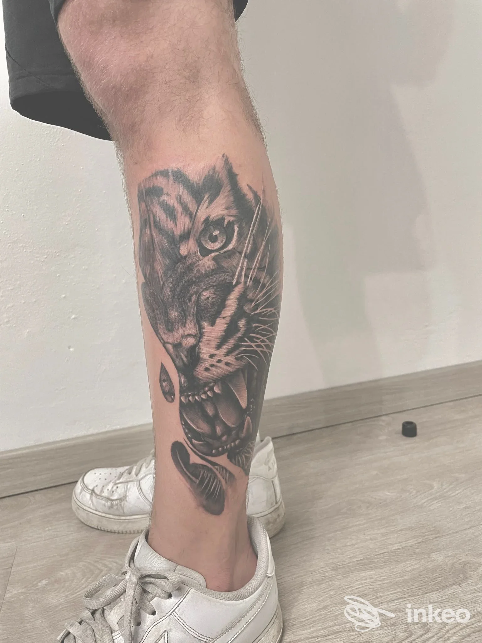 Tatuaggio realistico di testa di tigre in bianco e nero sul polpaccio, foto per Mattia Temel Tattoo Studio a Verona.