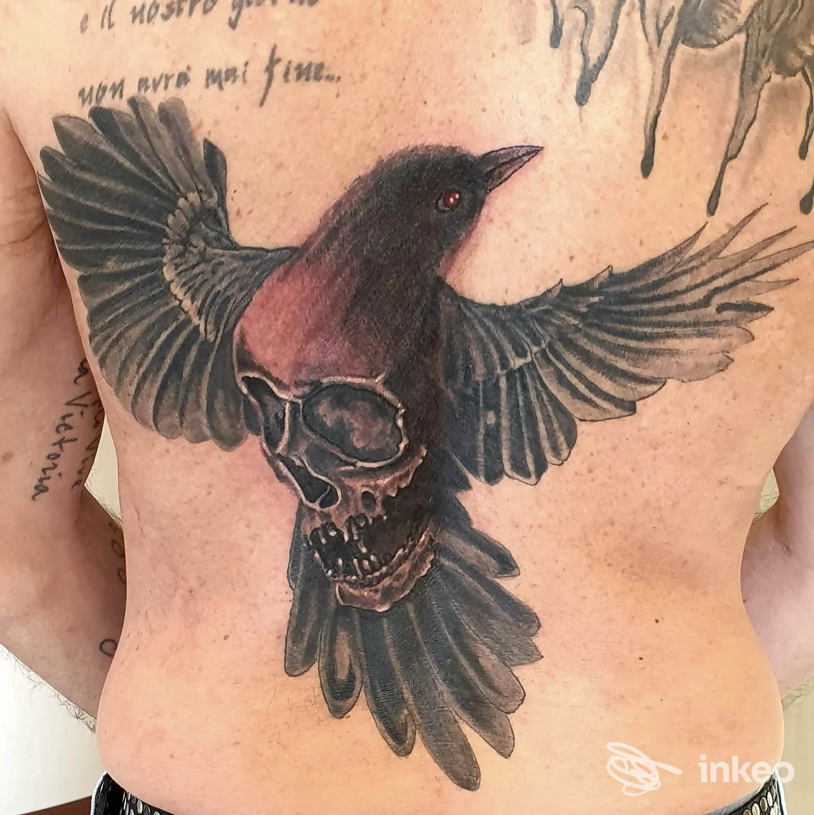 Grande tatuaggio di un corvo con teschio sulla schiena, realizzato da VENETIAN TATTOO ARTIST a Venezia.