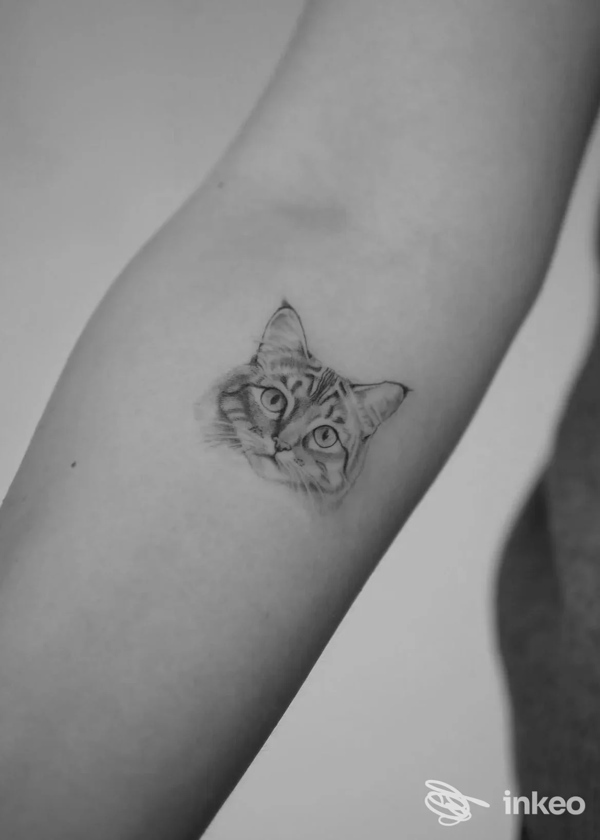 Tattoo raffigurante un gatto sul braccio, realizzato da Eightlines Tattoo Studio.