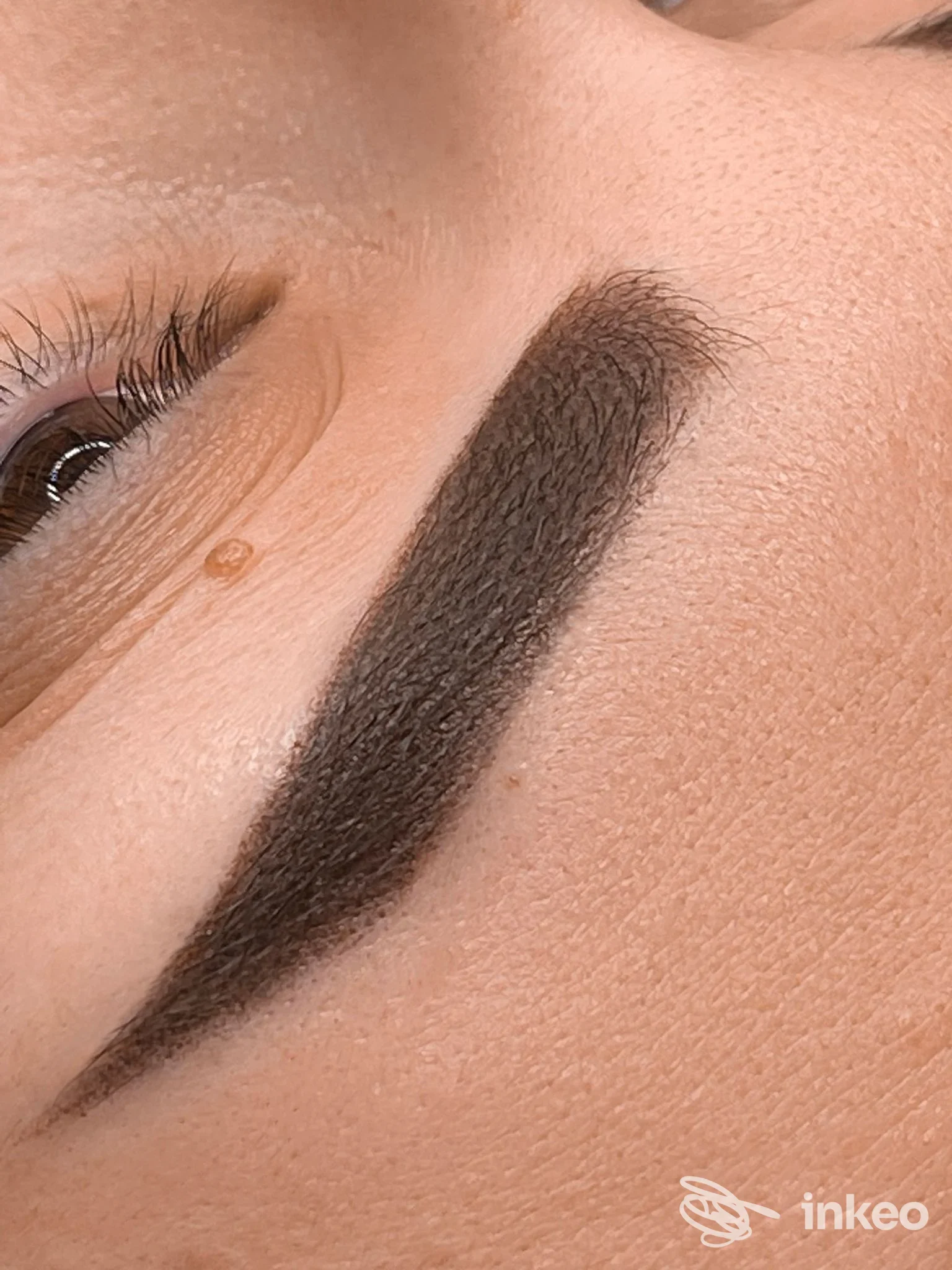 Sopracciglio trattato con trucco permanente visibile su pelle, in primo piano, senza volto intero; evidenziata tonalità marrone scuro realizzata sulla pelle.
