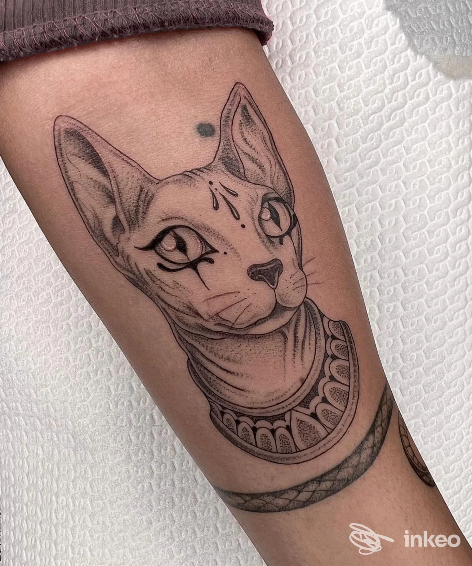 Tattoo su pelle di un gatto, stile line work, girocollo decorativo sul braccio. La foto mostra chiaramente la realizzazione corporelle.
