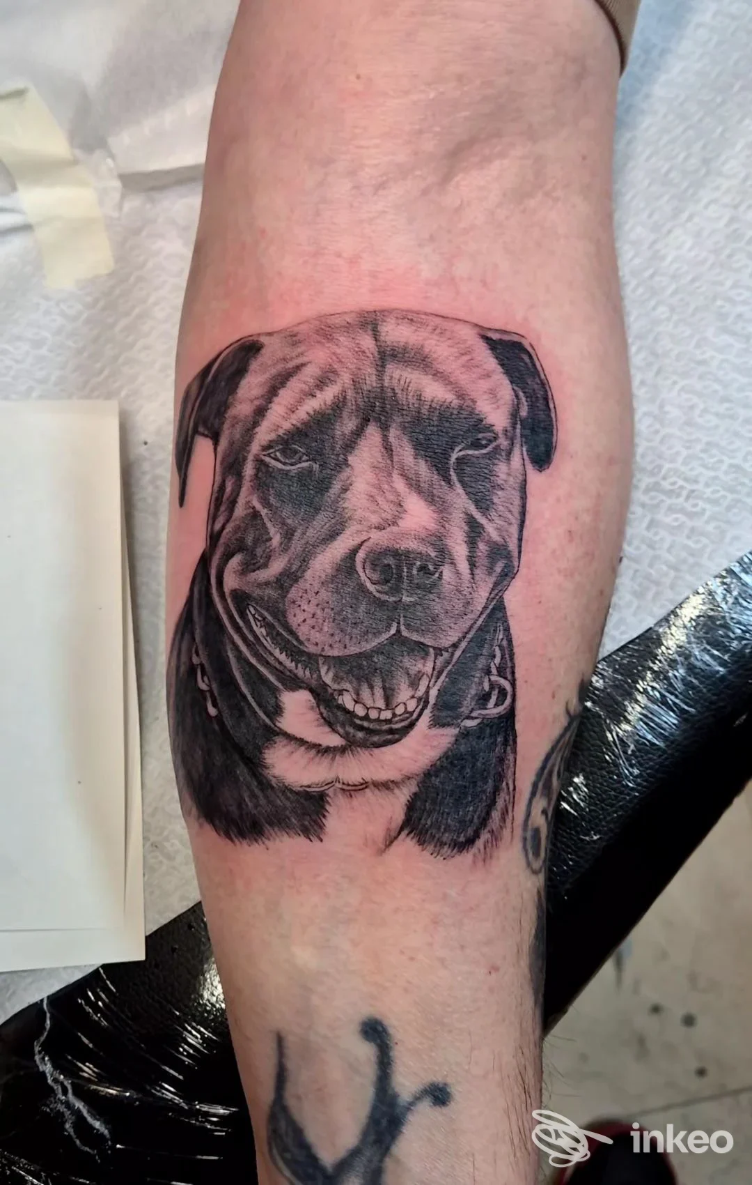 Tattoo realistico di un cane sull’avambraccio, realizzato presso Wakan Tanka Tattoo.