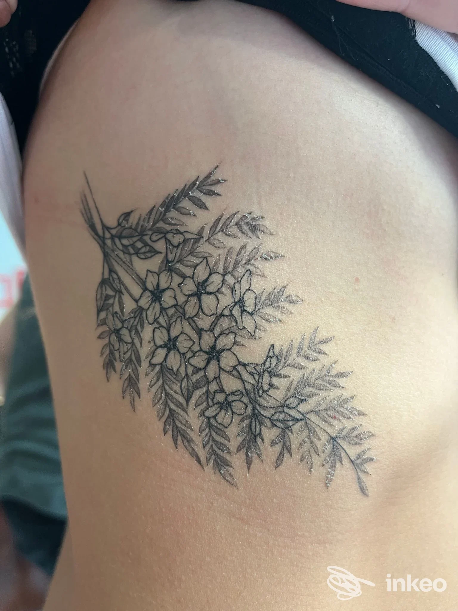 Tattoo floreale a rami e piccole foglie lungo la spalla sinistra su pelle chiara, eseguito in stile lineare, visibile in una foto singola.