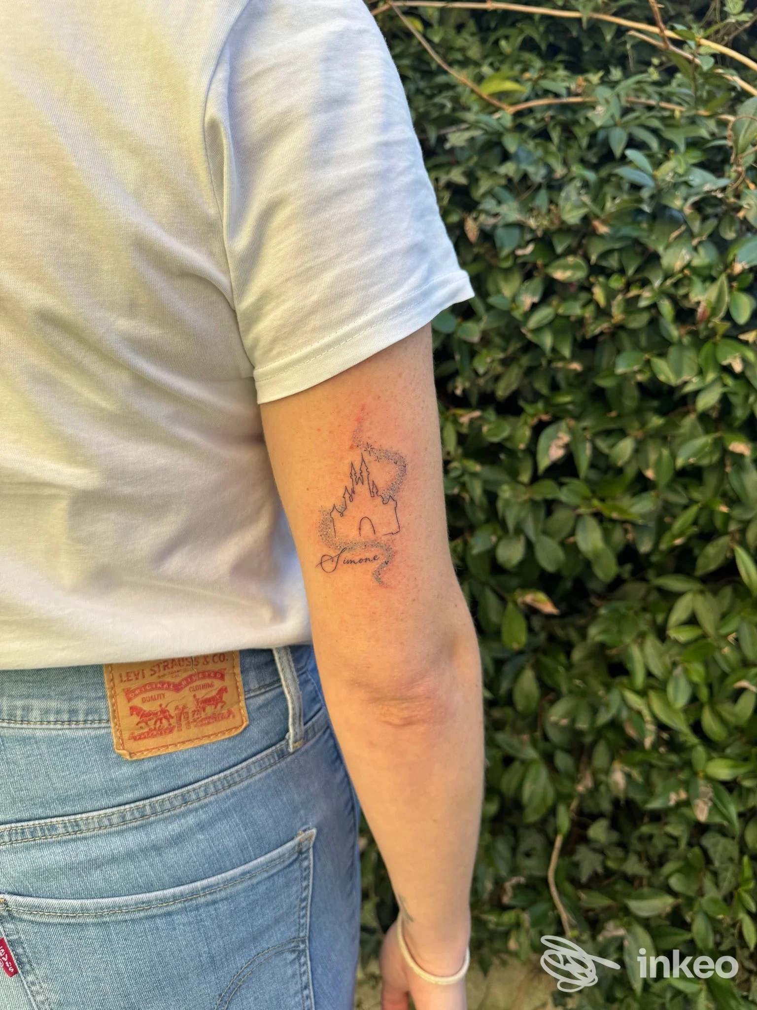 Tattoo su avambraccio sinistro, disegno semplice e lineare, contorni neri su pelle chiara, sfondo con siepe.