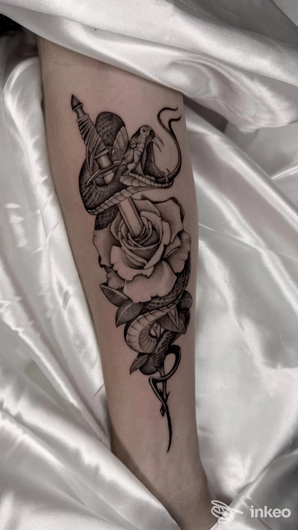 Tattoo sull'avambraccio raffigurante rosa trafitta da un pugnale avvolto da una serpe, in tonalità nere e grigie, sfondo in tessuto bianco.