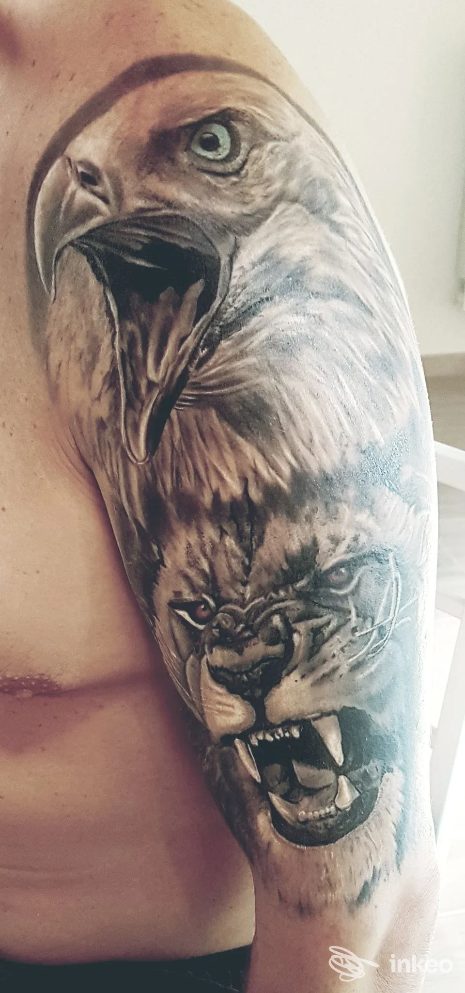 Tattoo realistico sull'avambraccio sinistro: testa d'aquila e leone, pelle umana visibile, stile realistico, realizzato presso uno studio, Milano.
