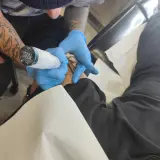 Profilo Instagram di Rocket Tattoo Lab