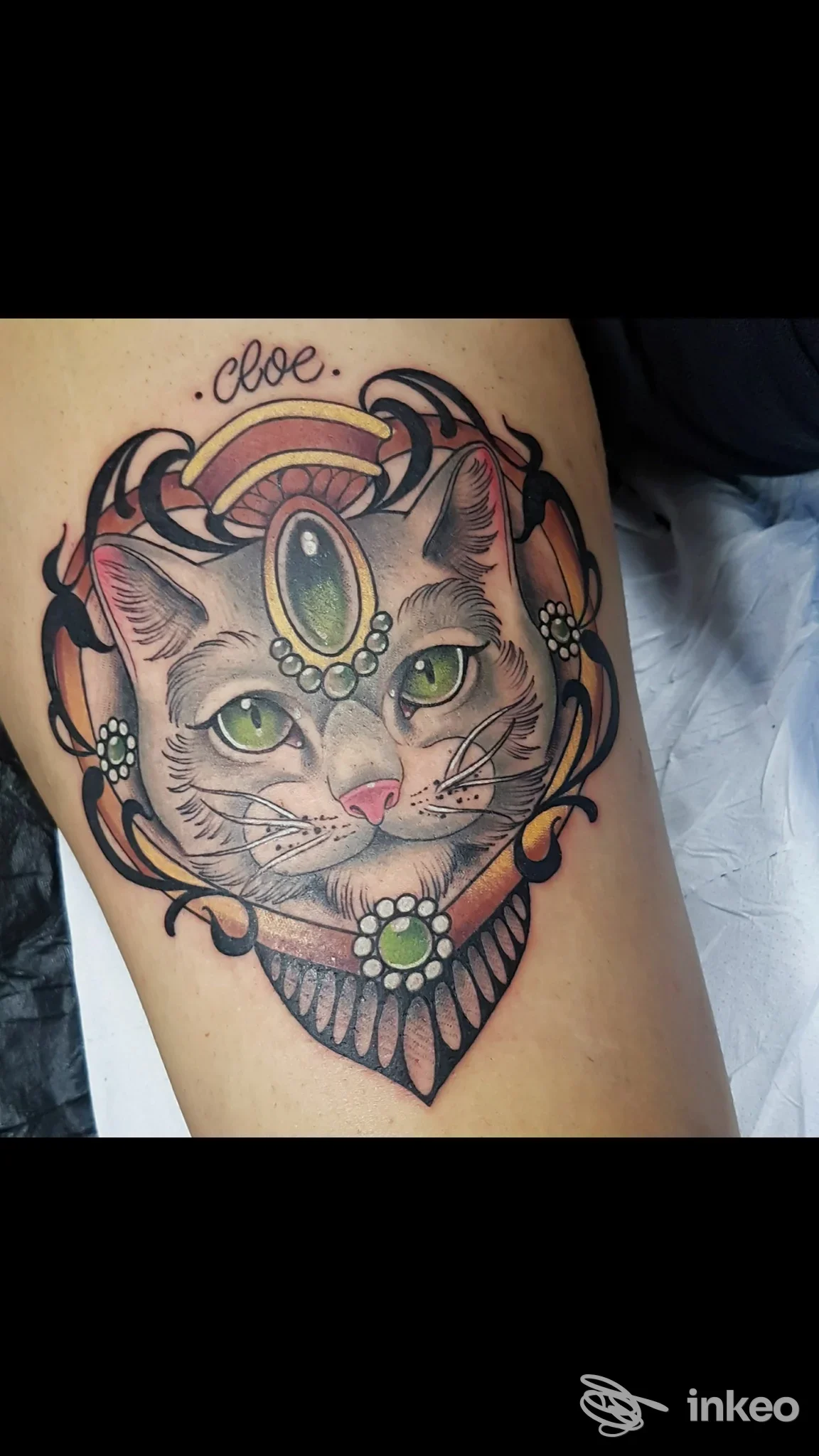 Tatuaggio di gatto decorato con gioielli, raffigurato sulla pelle, colore vivace e linee definite.