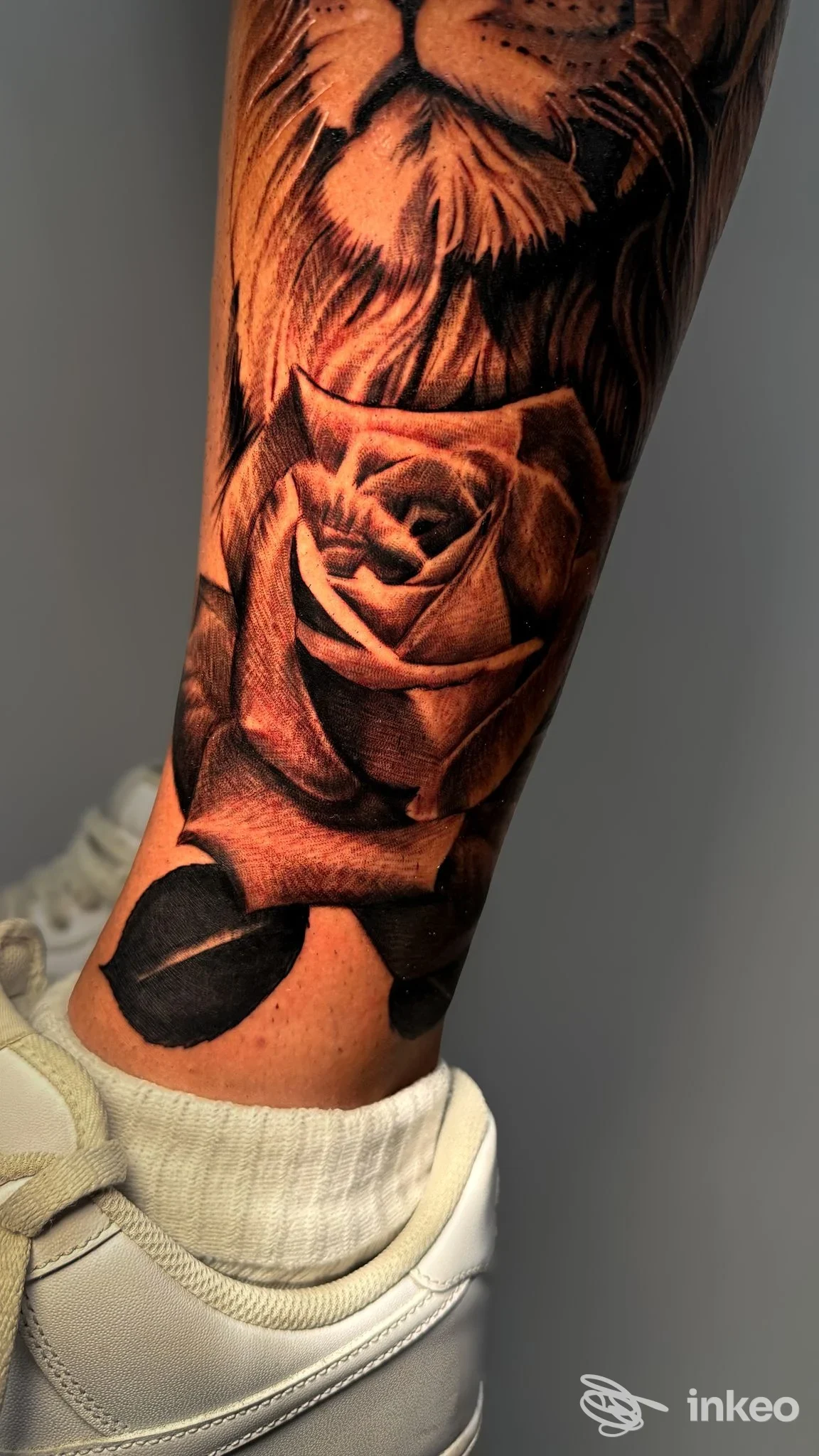 Tattoo realistico su pelle reale lungo la gamba: rosa molto dettagliata e parte di un leone visibile in alto, scuri e sfumature naturali.