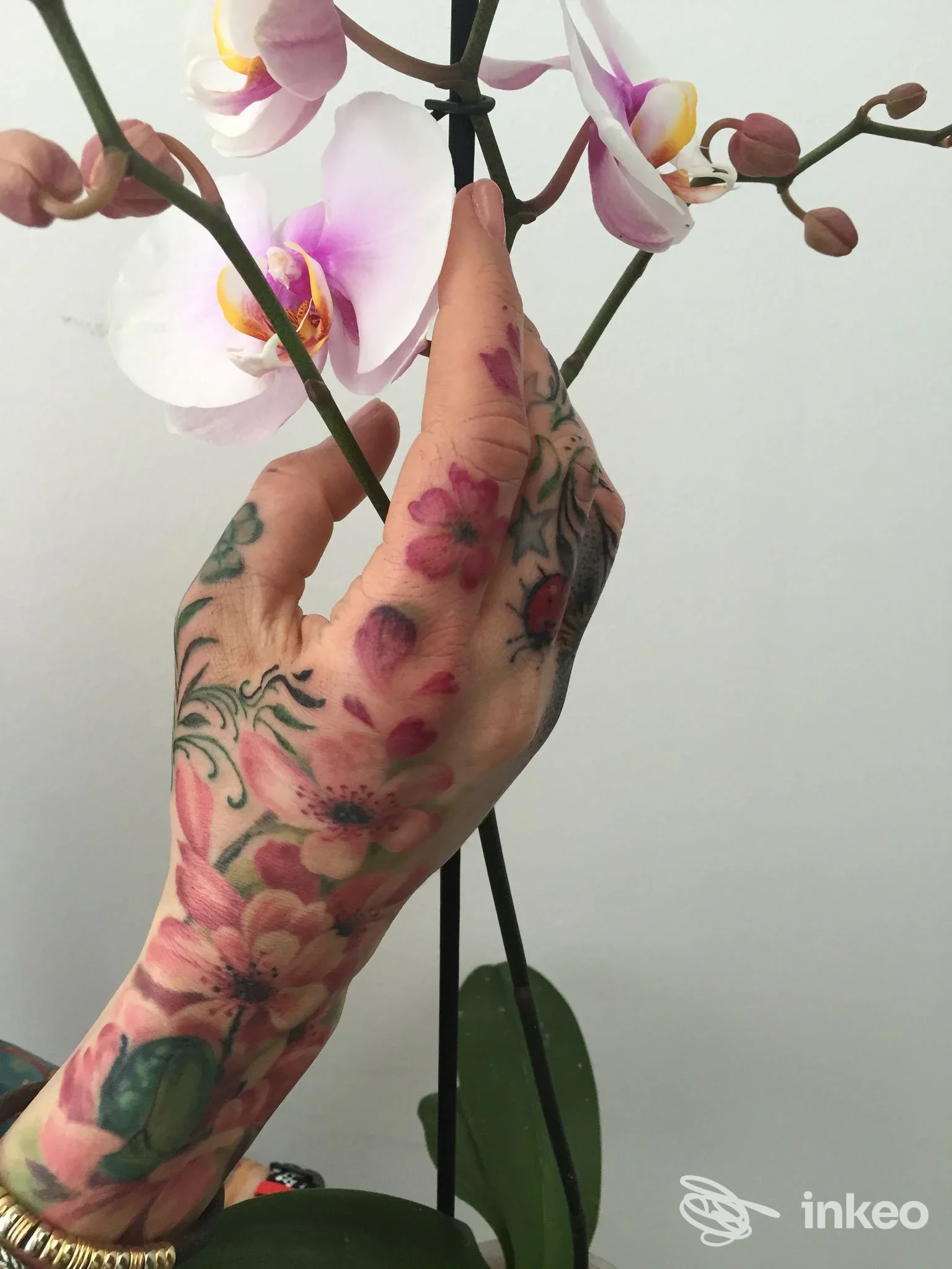Mano tatuata con motivi floreali rosa e verdi che tiene una pianta di orchidee; si vede solo la mano, senza volto.