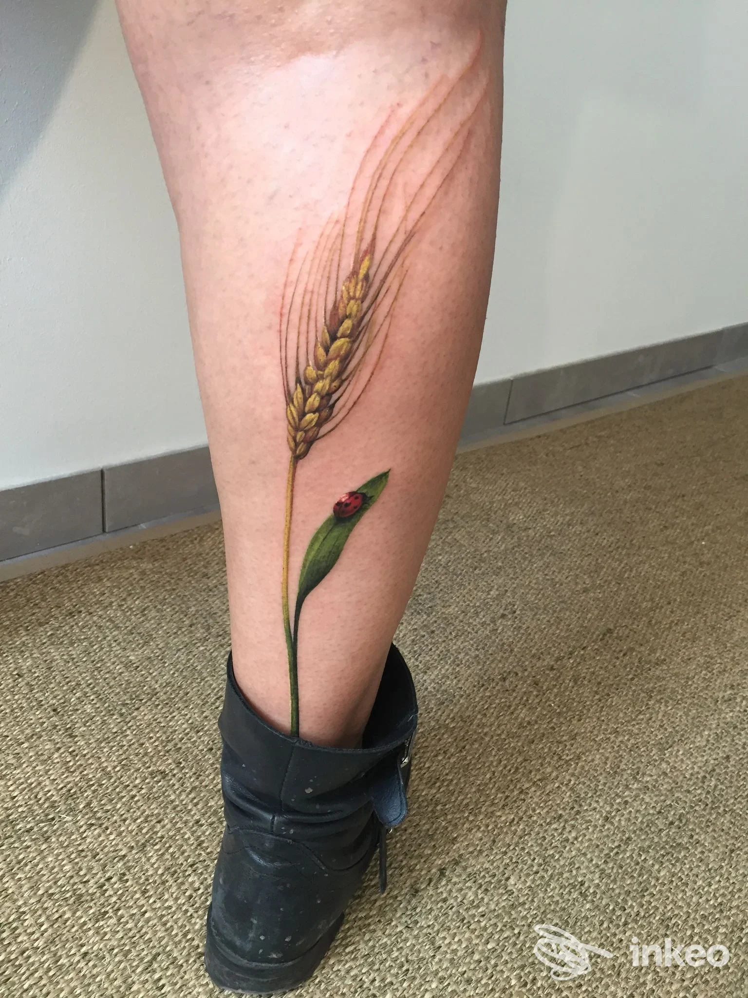 Tattoo realistico su gamba: fascio di spighe di grano con foglia e coccinella sul polpaccio, senza volto visibile e senza elementi social.