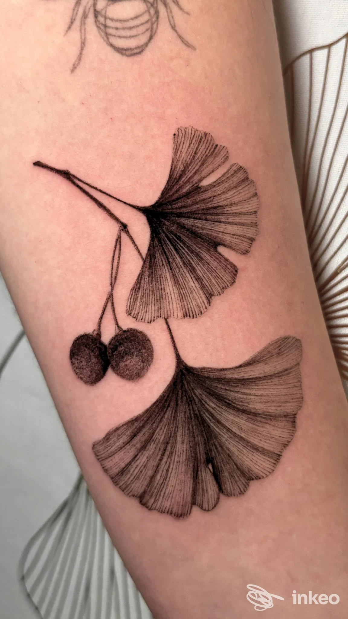 Tatuaggio su avambraccio raffigurante due foglie stilizzate con venature sottili in bianco e nero, con due ciliegie scure in basso, eseguito sulla pelle.