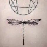 Profilo Instagram di Mr PMA