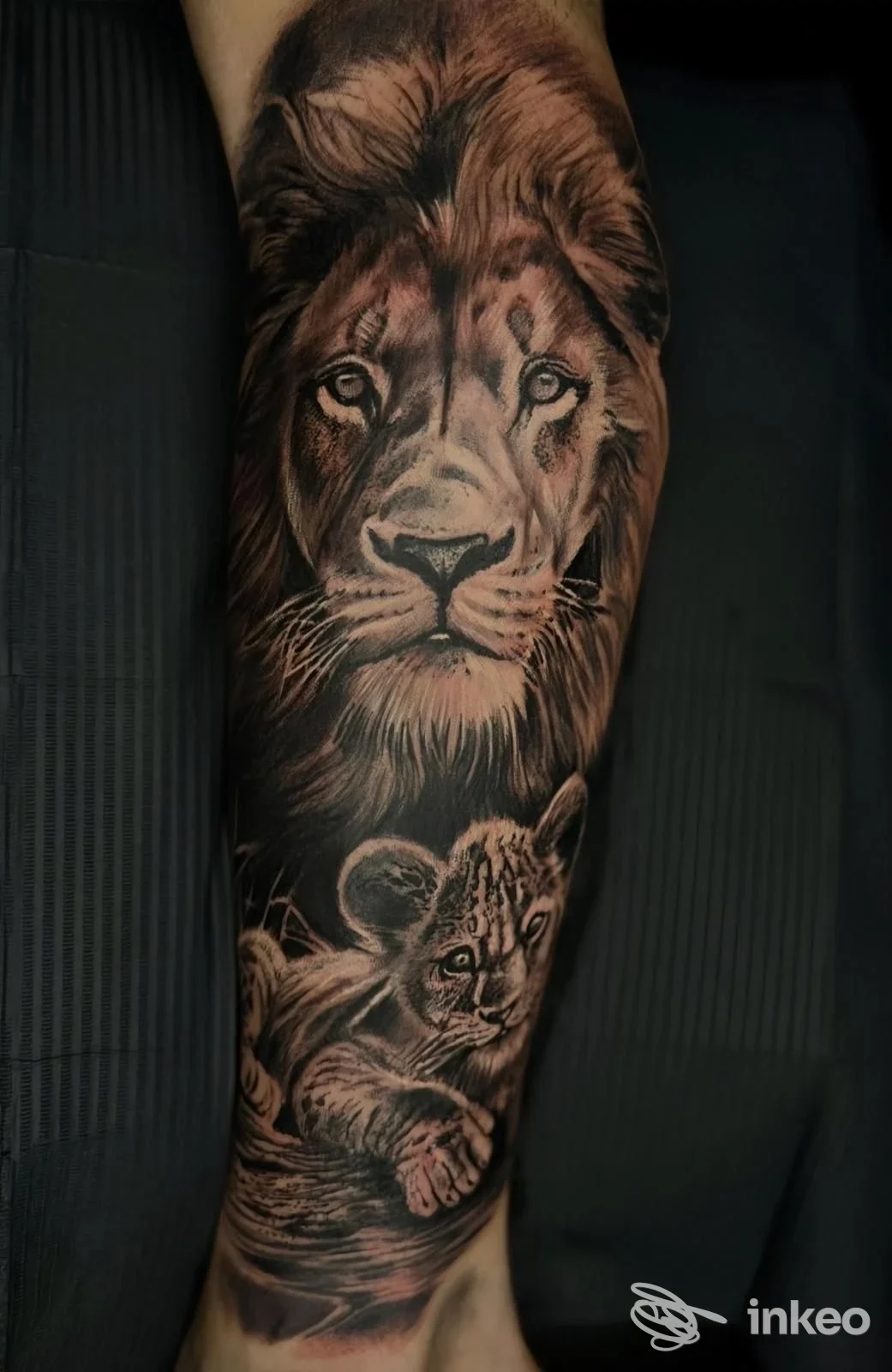 Tattoo realistico di un leone adulto con leone cucciolo su avambraccio, testo non presente, senza overlay o elementi di social media.